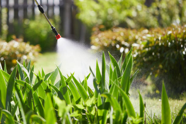 24/7 Emergency Wasp Removal experts in Normal, IL