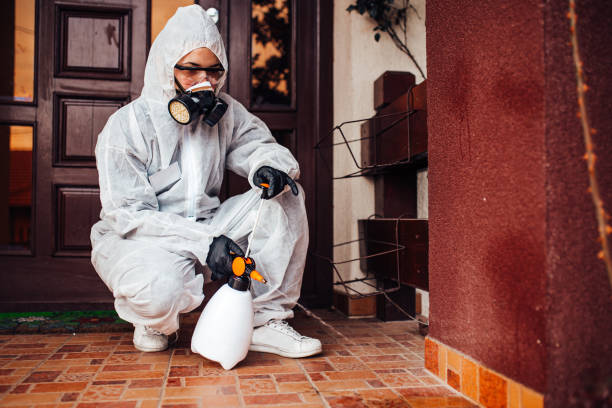 Reliable Wasp Removal contractor in Normal, IL by Show Me Pest Control