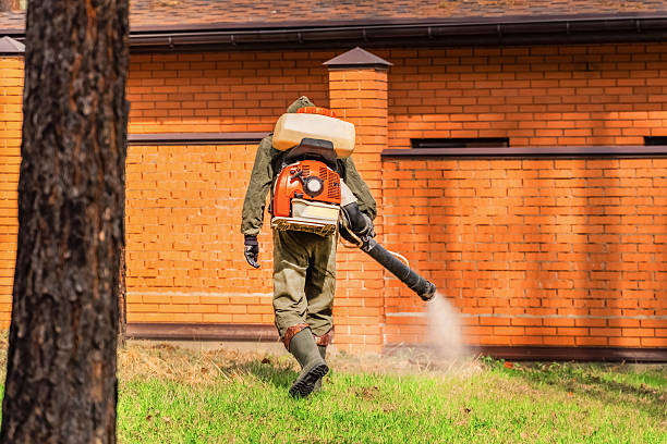 Top rated local Wasp Removal specialists in Normal, IL